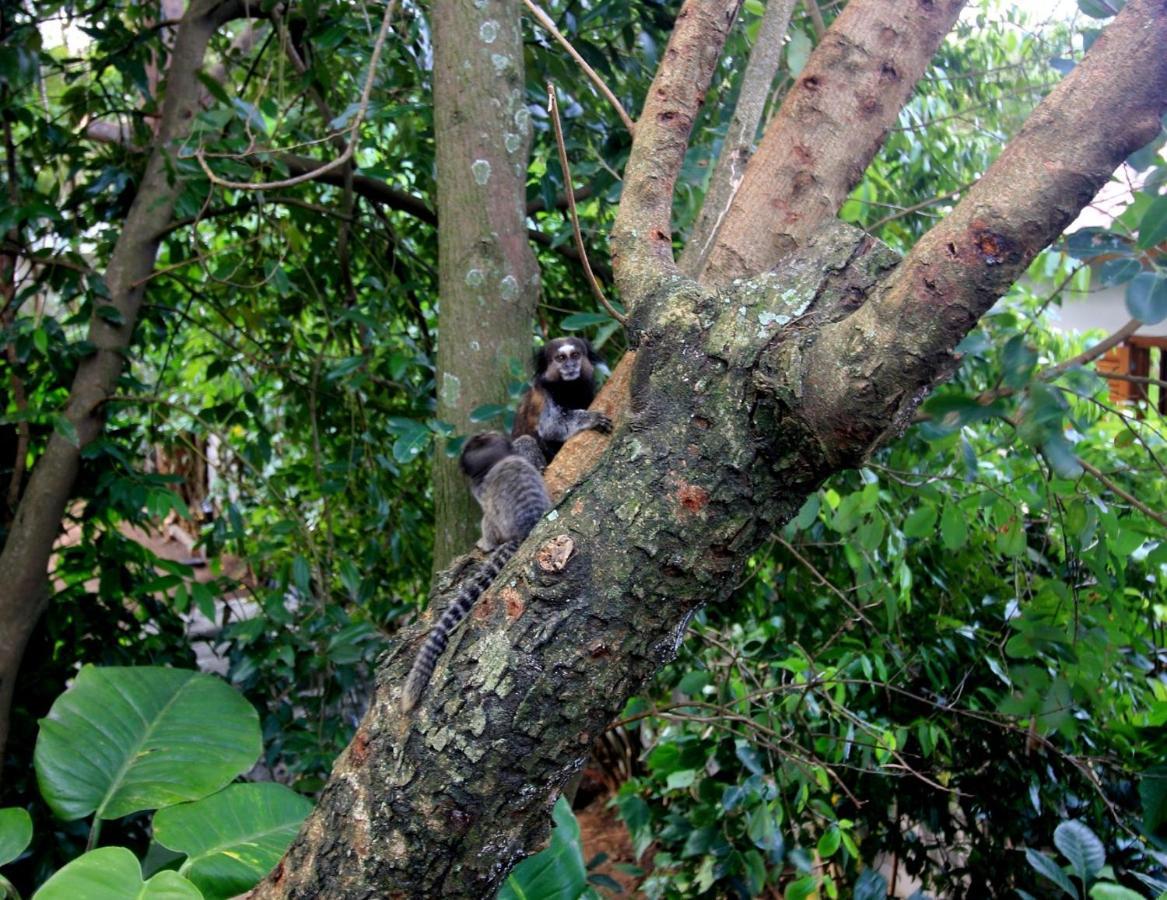 FlorianópolisChale Aloha别墅 外观 照片
